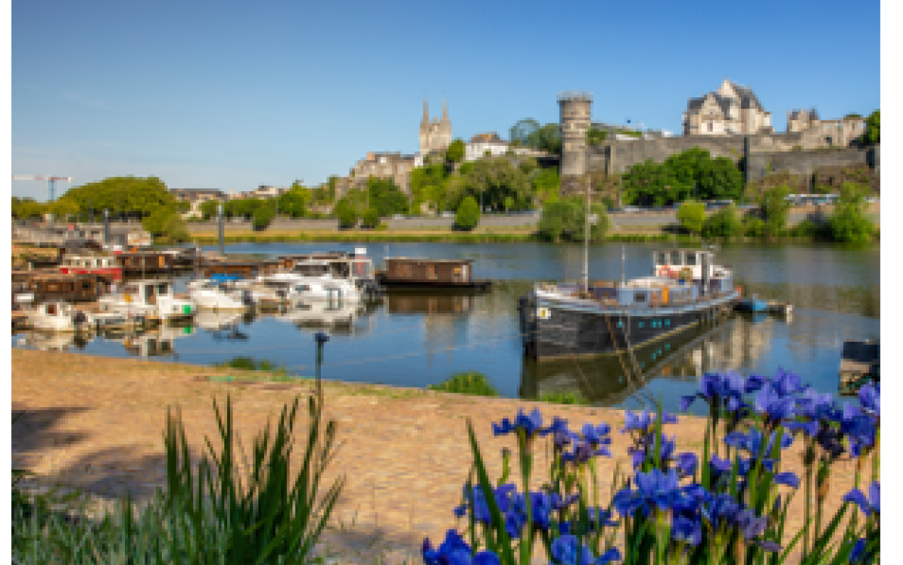 CDOM Maine et Loire