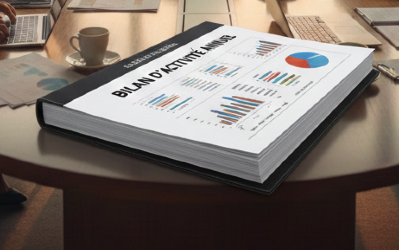 Bilan d'activité annuel